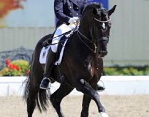Sophie Holkenbrink on Show Star