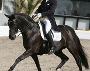 Norbert Lochthowe and De La Noche at the 2010 German Professional Rider Championships in Hagen :: Photo © Astrid Appels-