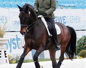 American Grand Prix rider Adrienne Lyle on Wizard. She was one of very few riders wearing a helmet at the 2010 CDI Hagen :: Photo © Astrid Appels