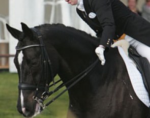 Svenja Peper wraps up a very good ride with Carlo Calucchi. A deserved pat for this willing horse