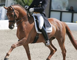 Hubertus Schmidt and Hinnerk TSF at the 2010 CDI Hagen :: Photo © Astrid Appels