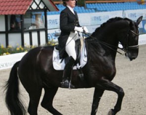 A star for the future! Walkingstar (by Weltruhl x Waidmannsdank xx) under Janine Siemer