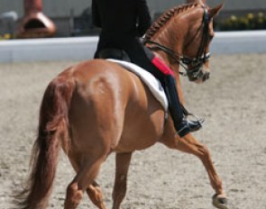 Valentina Truppa on Chablis
