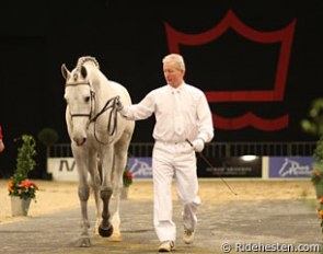 Danish warmblood stallion licensing in Herning :: Photo © Ridehesten.com