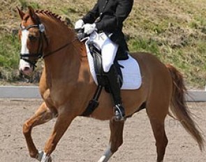 Simone Fersner on the German Riding Pony Proud Don Caruso :: Photo © Ridehesten.com
