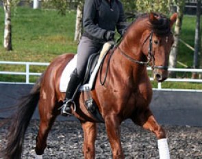 Gräf doing canter work with Damon Jerome, who's nicknamed DJ