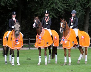 The 2010 Dutch Young Pony Champions: Champ of Class, Heidehofs Don Diego, Tiësto :: Photo © Jody Wigand - www.jw-fotografie.nl