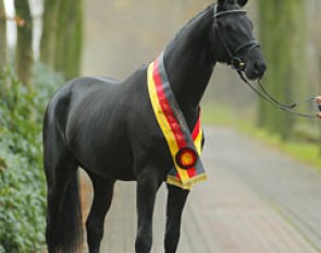 Imhotep (by Gribaldi x Hohenstein x Schwadroneur) :: Photo © Stefan Lafrentz