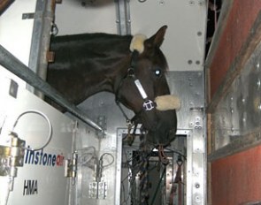 Donnperignon waiting to be loaded on the plane to fly from Liege (BEL) to Cincinnati (USA)