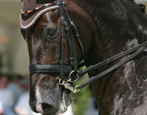 The gorgeous face of Donnperignon