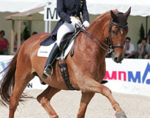 Nadine Capellmann and Elvis VA in a big extended trot