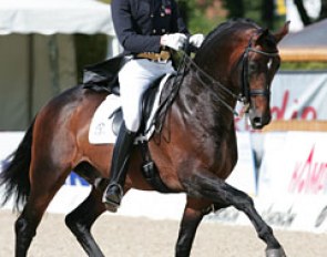 Bad luck for Danish Sune Hansen. His Grand Prix horse Gredstedgardens Casmir became unlevel in the warm up and had to be withdrawn. The sympathetic Dane did show Blue Hors Rush Hour (by Rubin Royal x Strohmann xx) in the small tour