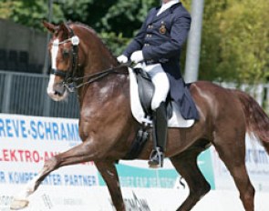 Belgian Philippe Jorissen on the Oldenburg Le Beau. Lovely horse but towards the end of each exercise the horse gets stressed and seems to lose total confidence in his rider. Le Beau has big suspension in the passage. The quality is definitely there!