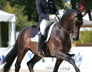 Patrik Kittel and Edwin Kohl's Silvano (by Rubinstein x Cocktail) won the Intermediaire I