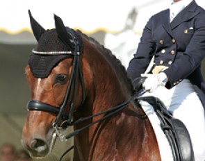 Louisa Luttgen and the Oldenburg mare Dreamy (by Donnerhall x Weltmeyer) at the 2010 CDI Lingen :: Photo © Astrid Appels