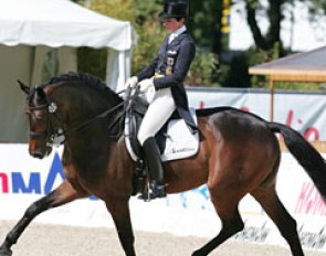 Monica Theodorescu and Karin Peter's small tour horse Radames, an Oldenburg gelding by Rockwell x Come On