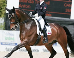 Canadian Belinda Trussell on Anton (by Anteus). Nice piaffe and passage but there could have been a bit more power. The combination lacked some straightness in the two-tempi's. The half passes were great