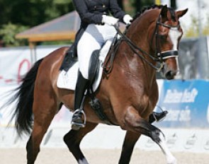 Beautiful ride by Anne van Olst with lots of highlights but she did not show any piaffe!! Did I miscount? I didn't see them do more than 2/3 steps on any of the three spots in the test and the judges kept scoring the movement up to a 6? Dyscalculia ?