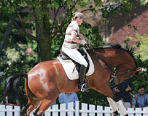 A frisky Don Johnson throws in a buck during a warm up session on Saturday morning. Isabell Werth has no problems staying in the saddle