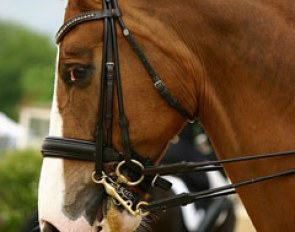 Emilie Brolin's Briman (by Bjorsells Briar)