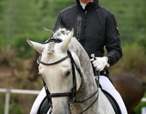 Nicole Casper warming up Birkhofs Denario
