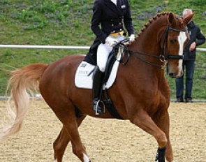 Helen Langehanenberg training Dorado