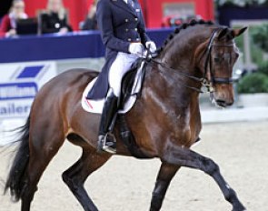 Adelinde Cornelissen and the powerful mare Ulissa (by Olivi). Super powerful mover, but there were many small mistakes in the test and the contact with heavy. With more swing and looseness in the back she will certainly excel