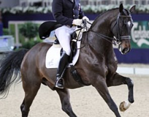 Johan Rockx on his own bred Verdi de la Fazenda (by Florett As x Sandro Hit)