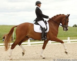 Sanne Henningsen on Capong :: Photo © Ridehesten.com