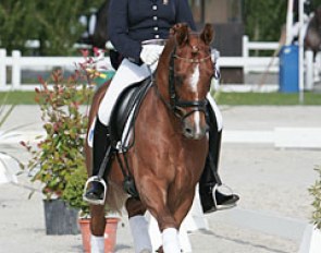 Darius in the ribbons at the 2010 CDIO-P Moorsele