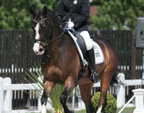 Josefine Ivarsson-Mårtensson on Cracker Jack at the 2010 CDIO-P Moorsele :: Photo © Astrid Appels