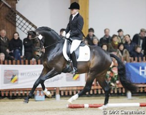 The Oldenburg Bailamos Biolley (by Sir Donnerhall x Florestan) was one of four dressage colts accepted for BWP breeding :: Photo © Dirk Caremans