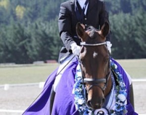 Victoria Wall and Astek Gymnast (by Gym Bello x Falkensee) win the 2010 New Zealand Young Horse Championships
