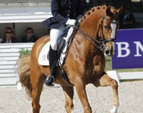Witness (by Hamlet x Burggraaf) at the 2010 Dutch Championships in De Steeg :: Photo © Dirk Caremans