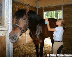 A nice grooming session, also after the ride