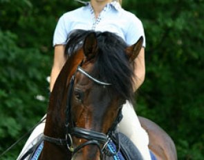 Simona schooling Riccione in a snaffle