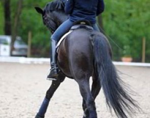 Sophie Holkenbrink on Show Star