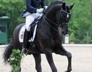 Sophie Holkenbrink on Show Star: a lovely pair that needs more competition experience. Holkenbrink  rides the licensed stallion beautifully and boy he is beautiful