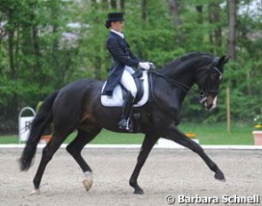 Louisa Luttgen on Habitus