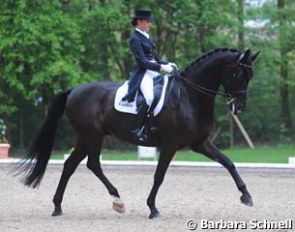 Louisa Luttgen took over the ride on Highway from Thea Felicitas Muller, who called her riding career quits