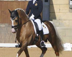 Alexa Fairchild and Stukhuster Ricardo Go For Gold at the 2010 CDI Pompadour