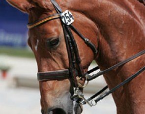 Ann Kathrin Linsenhoff's Whisper (by Welt HIt I O), ridden by Monica Theodorescu