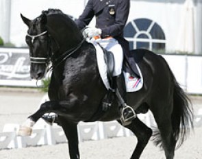 This extended trot looks too extravagant: a clawing front leg and not enough tracking up from behind