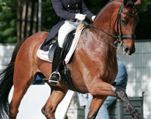 Lorraine van den Brink and Murdock at the 2010 CDIO Rotterdam :: Photo © Astrid Appels