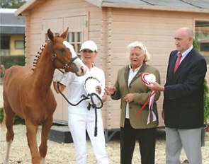 Fantasy Boderes (by Fiorano x Wolkenstein II)