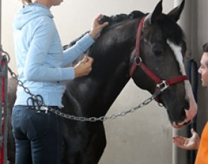 Natasja braiding Roberto Cavalli (by Rotspon)