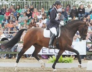 Emile Faurie and Retro Hit (by Royal Hit x Cardinal) :: Photo (c) Kevin Sparrow