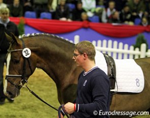 Sir Donnerhall x Royal Diamond x Krack C