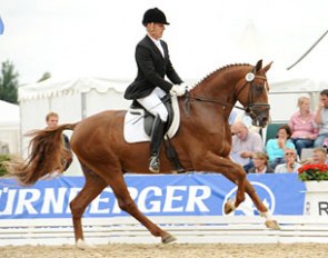 Johannes Westendarp on Bailador de Amor in Verden :: Photo © Kiki Beelitz