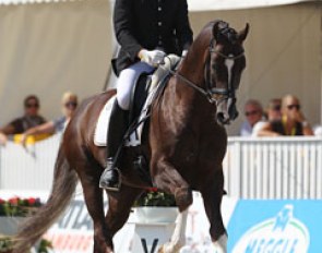 Steffen Frahm and Henglein's Licosto, a Westfalian stallion by Licotus x Rosenkavalier. The trot was a bit hurried, the walk was brilliant and the canter lacked ground cover. They got 8.44 and finished 7th.